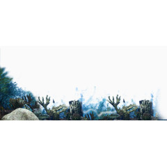 水底生态免抠素材