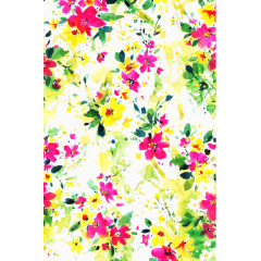 红花黄花植物水粉画