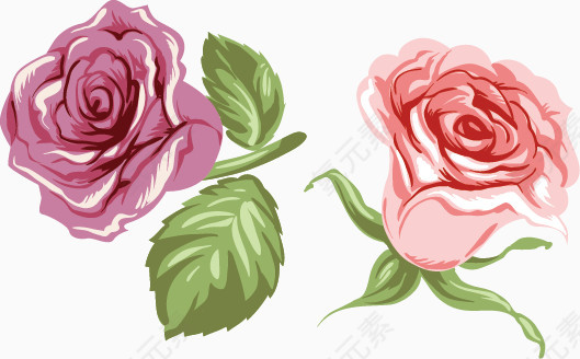 红色的玫瑰和粉色的玫瑰