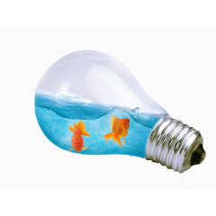 灯泡里的金鱼