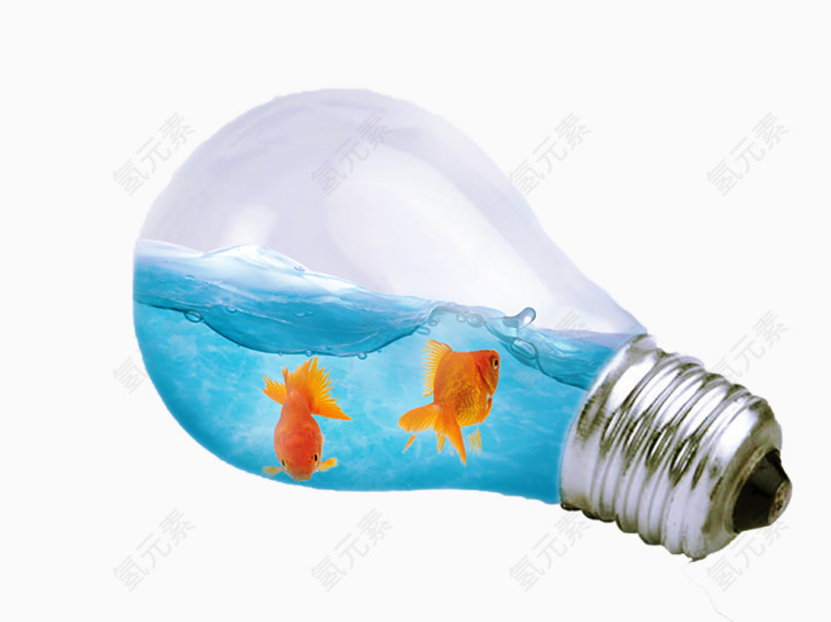 灯泡里的金鱼