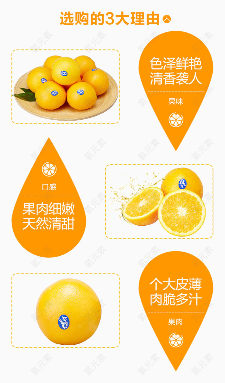 水果介绍