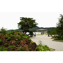 韩国济州岛图片