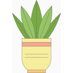 个性定制别致花瓶装仙人掌