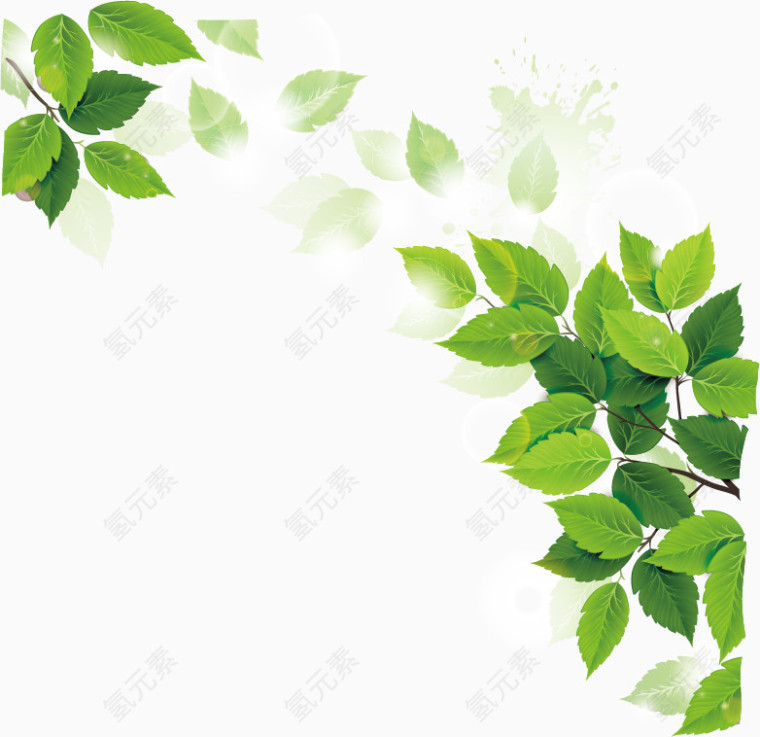 矢量树叶装饰