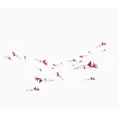 花枝免扣装饰素材