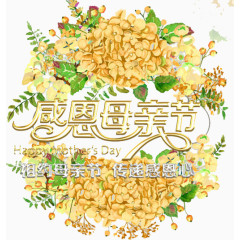 感恩母亲节