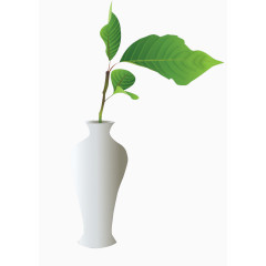 插在花瓶里的叶子