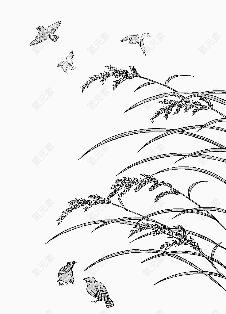 稻谷下的麻雀