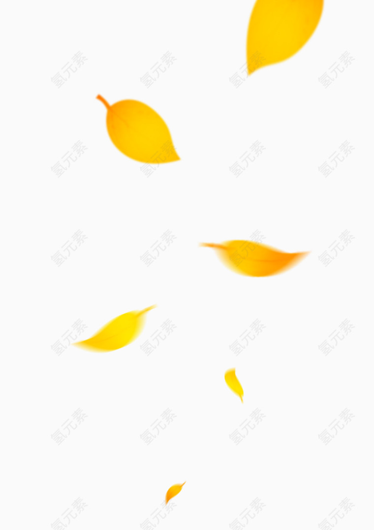 秋天飘落的树叶