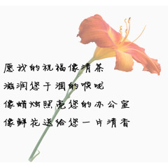 教师节祝福语