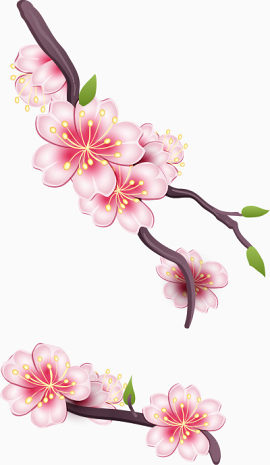 粉色唯美樱花