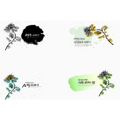 中国风之水墨菊花