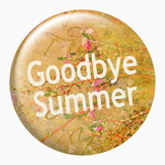 再见夏天按钮