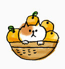 手绘猫咪插画表情包