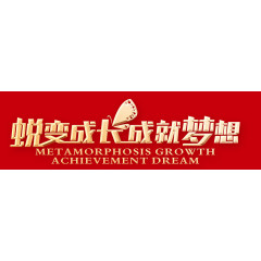 蜕变成长成就梦想 金属字