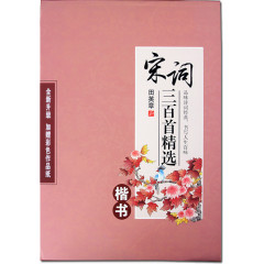 硬笔楷书练字帖