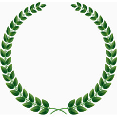 矢量手绘橄榄枝