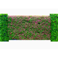 利用植物来砌墙