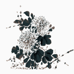 墨色菊花图