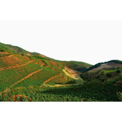 云南东川红土地风景