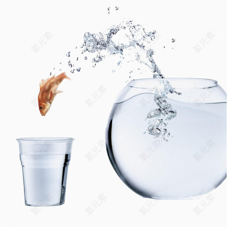 金鱼跃水免抠素材
