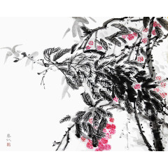 中国风水墨墨梅画