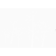 手绘扁平白色树林树枝装饰图案