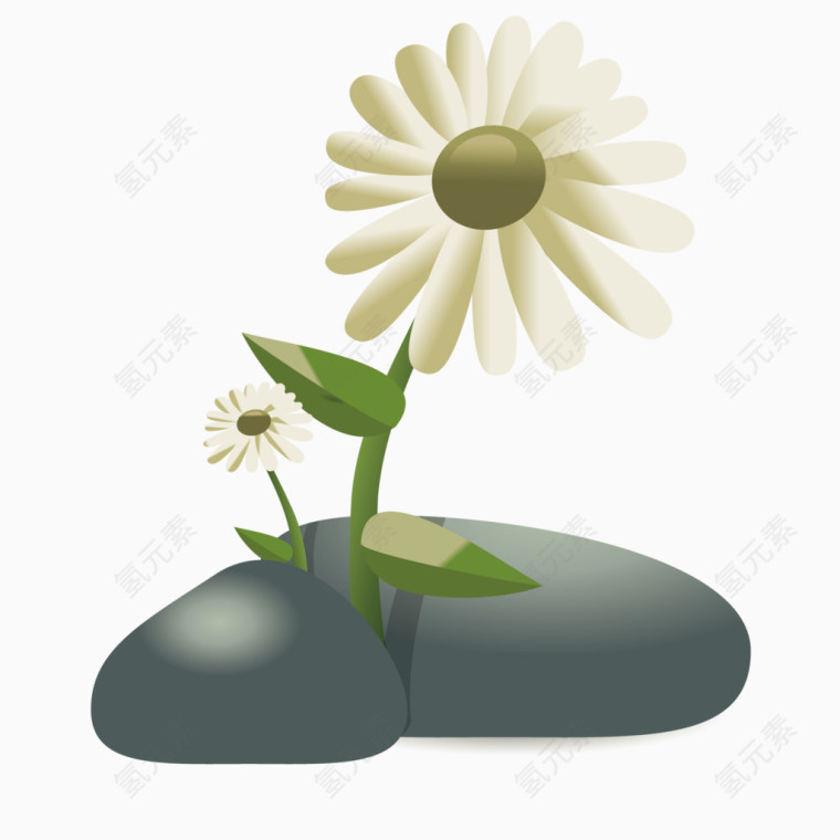 矢量石头缝里的花