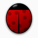 精制动物头像系列