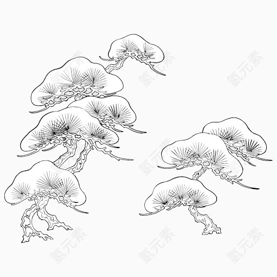 云杉矢量