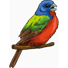 中国风鸟彩色修饰