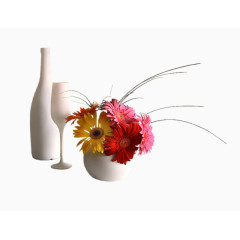 装饰环境用的鲜花