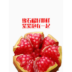 像石榴籽一样团结