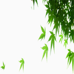 城市文明梦想放飞绿色叶子