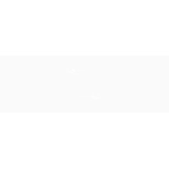 中国风梅花纹理