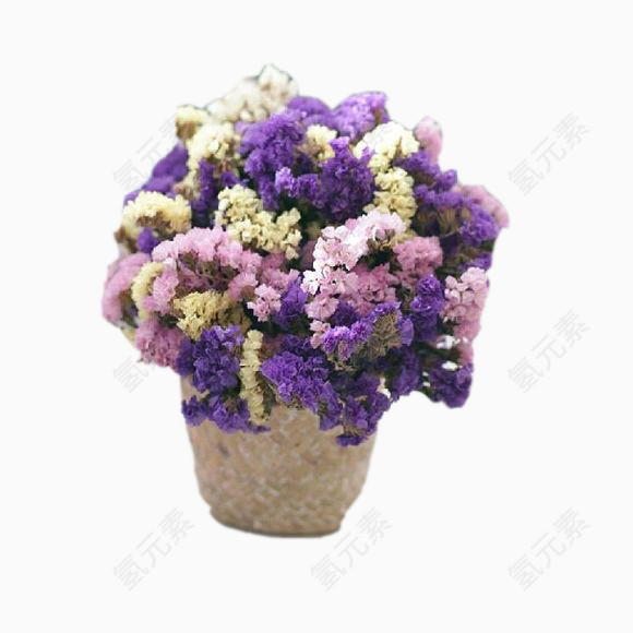 勿忘我花语