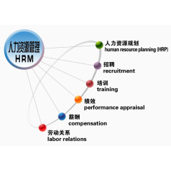 人力管理分支图