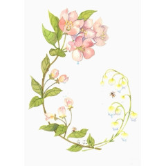 勤劳的小蜜蜂图片素材