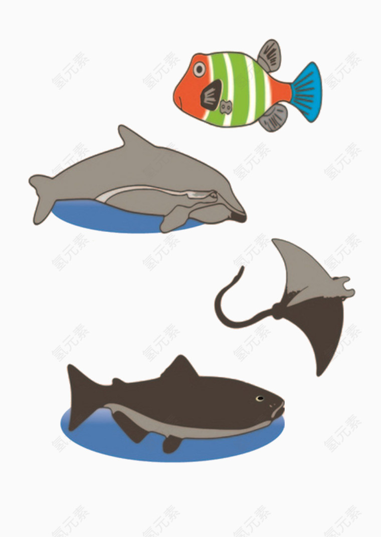 海洋动物