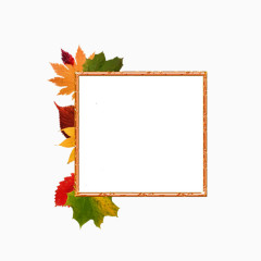 带枫叶的对比框