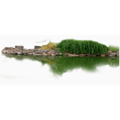 水面景观绿化倒影