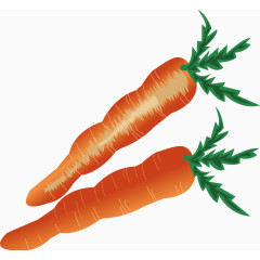 胡萝卜矢量