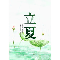 立夏节气荷花素材矢量
