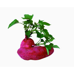 免抠素材红薯图片