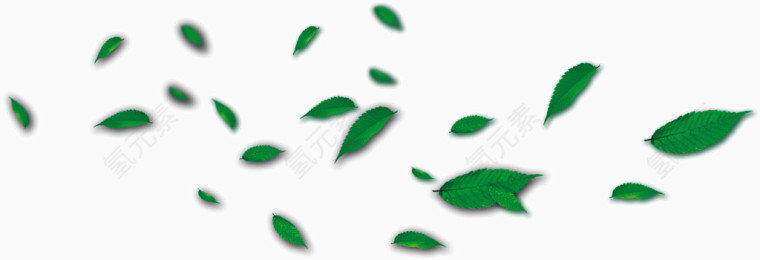 绿色散落茶叶