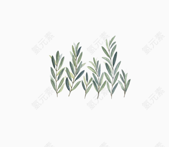 可爱文艺芦苇地