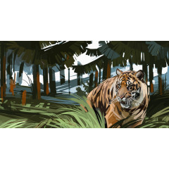 手绘老虎图案芭蕉森林背景