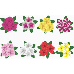 颜色丰富多彩的花卉