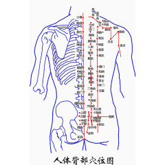 人体背部穴位大全